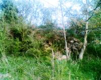 Fotka �. 6