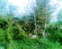 Fotka �. 7